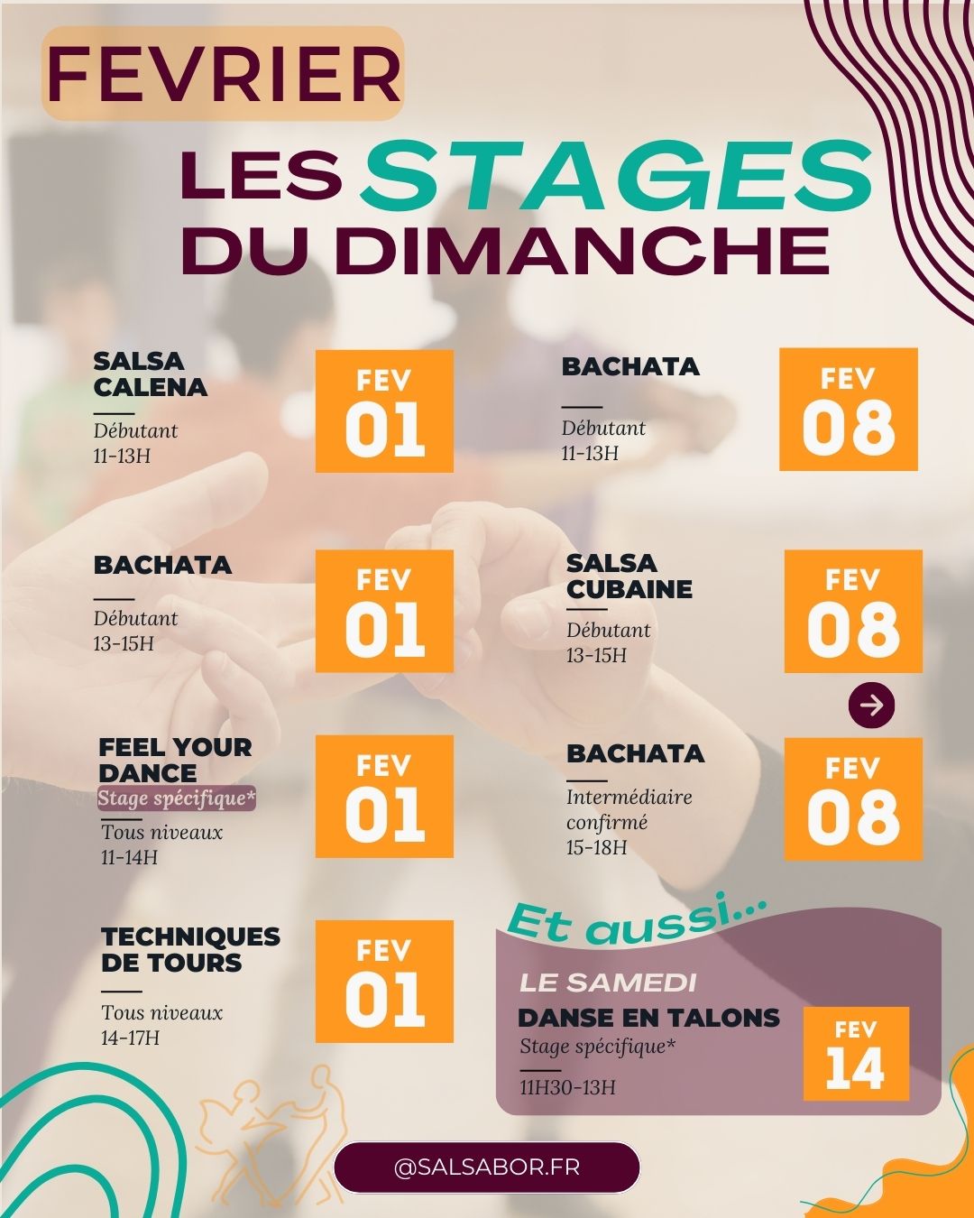 Stages du mois de Fevrier